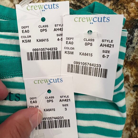 NWT J. Crew Boy's Mint Green and White Stripe T-Shirt - Picture 6 of 7